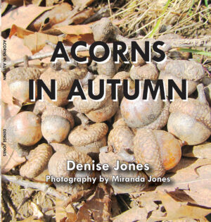 Acorns in Autumn
