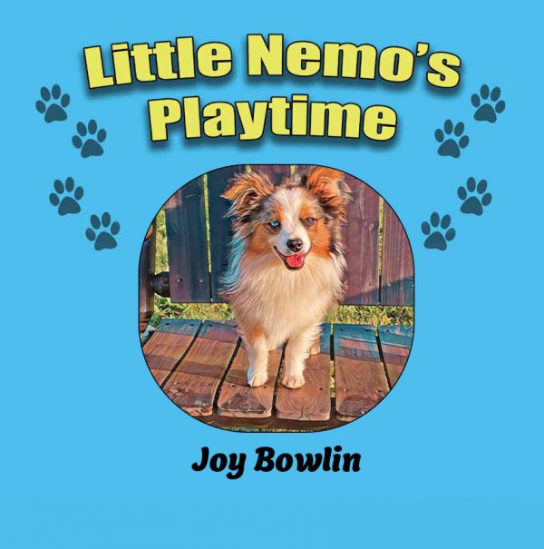 Little Nemo's Playtime